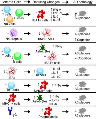 The Complexity of Microglial Interactions With Innate and Adaptive Immune Cells in Alzheimer’s Disease